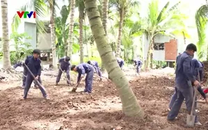 Phát hiện 42 hài cốt liệt sĩ trong vườn dừa vùng biên