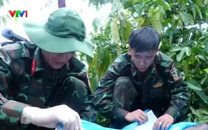 Tập trung nguồn lực quy tập mộ liệt sĩ