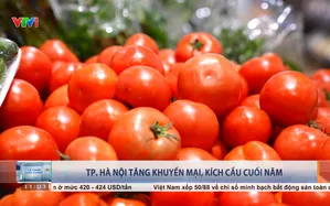 TP Hà Nội: Tăng khuyến mại, kích cầu cuối năm