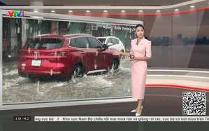 Bản tin thời tiết 19h45 - 19/10/2026