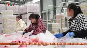 Chào buổi sáng - 28/11/2024