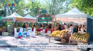 Thời sự 12h VTV1 - 30/11/2024