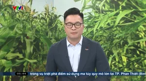 Chào buổi sáng - 11/5/2025