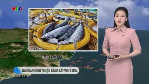 Bản tin thời tiết 9h10 - 24/4/2025