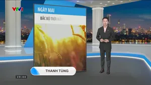 Bản tin thời tiết 19h45 - 01/5/2025