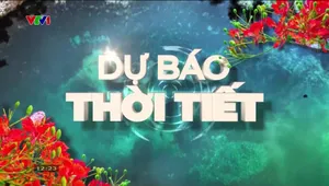 Bản tin thời tiết 12h30 - 11/5/2025