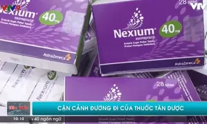 Cận cảnh đường đi của thuốc tân dược