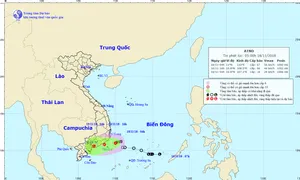 Bão số 8 đã suy yếu thành áp thấp nhiệt đới