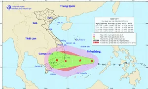 Bão số 9 tiến gần Nam Trung bộ, gây mưa lớn