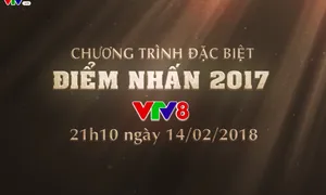 Chương trình đặc biệt Tết Mậu Tuất "Điểm nhấn 2017" (21h10 ngày 14/2 - 29 Tết, VTV8)