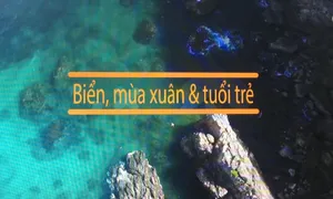 Tạp chí Xuân VTV8: Biển, mùa xuân và tuổi trẻ (21h10, thứ Sáu, 16/2 - mùng 1 Tết Mậu Tuất)