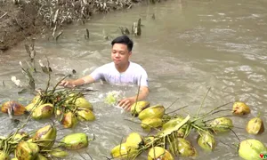 Bước chân khám phá (20h55 thứ Sáu, 09/2 trên VTV8)