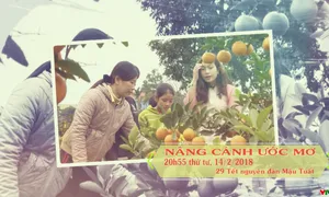 Nâng cánh ước mơ số 07/2018 (20h55 thứ Tư, 14/2 trên VTV8)