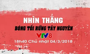 Nhìn thẳng: "Bóng tối rừng Tây Nguyên" (18h40 Chủ Nhật, 04/3 trên VTV8)