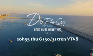 Bước chân khám phá: "Một ngày làm ngư dân đảo Phú Quý" (20h55 thứ 6,30/3 trên VTV8)