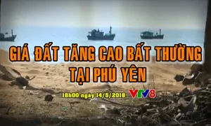 Tiêu điểm: Hiện tượng giá đất tăng cao bất thường tại Phú Yên (18h Thứ 2, 14/5 trên VTV8)