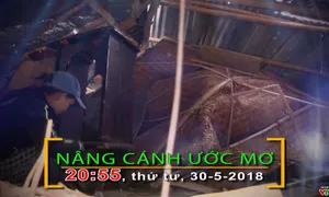 Nâng cánh ước mơ số 22/2018 (20h55 thứ Tư, 30/5 trên VTV8)