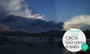 Chuyện biển chuyện người "Giữ rừng ở biển" (19h30 thứ Ba, 12/6) trên VTV8.