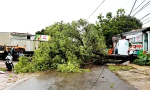 Mưa lớn, lốc xoáy gây nhiều thiệt hại tại Gia Lai và Quảng Bình