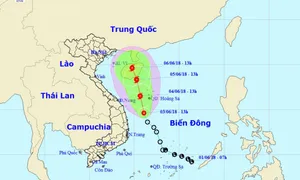 Áp thấp nhiệt đới cách quần đảo Hoàng Sa 220km về phía Nam, có khả năng mạnh lên thành bão