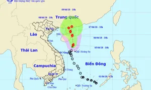 Áp thấp nhiệt đới đã mạnh lên thành bão số 2; lũ quét, sạt lở đất ở vùng núi phía Bắc