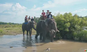 Bước chân khám phá: "Chuyến đi đáng nhớ đến Buôn Đôn - Phần 1" (20h55 thứ 6, 13/7 )