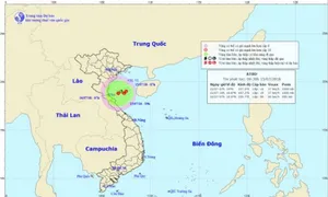 Chủ động ứng phó với vùng áp thấp có khả năng mạnh lên thành ATNĐ