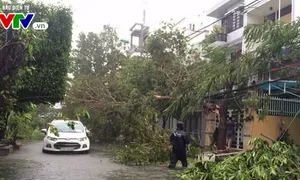 “Mùa mưa bão năm 2018 sẽ xuất hiện sớm hơn”