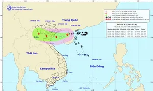 Bão số 4 cách Móng Cái (Quảng Ninh) 210km, giật cấp 11