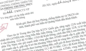 Các tỉnh/TP ven biển từ Quảng Ninh đến Bình Định ứng phó với áp thấp nhiệt đới trên biển Đông