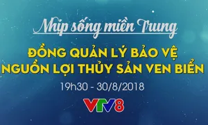 Nhịp sống miền Trung "Đồng quản lý nguồn lợi thủy sản ven biển" (19h30 thứ Năm, 30/8)