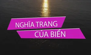 Chuyện biển chuyện người "Nghĩa trang trên biển" (19h30 thứ Ba, 11/9)