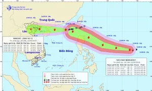 Trong 48 đến 60 giờ tới, bão số 5 suy yếu thành áp thấp nhiệt đới