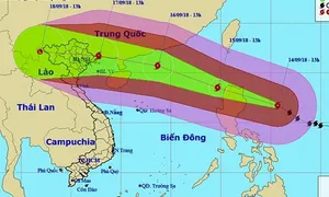 Siêu bão Mangkhut di chuyển theo hướng Tây Tây Bắc, hướng về Biển Đông