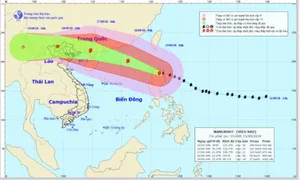 Chuẩn bị sẵn sàng lực lượng, phương tiện ứng phó bão Mangkhut