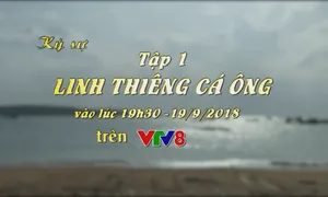 Ký sự "Linh thiêng cá ông" (Tập 01, 19h30 thứ Tư, 19/9) trên VTV8