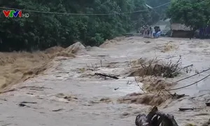 Phòng, chống thiên tai khu vực miền Trung, Tây Nguyên