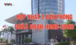 Tiêu điểm: Tinh giản bộ máy quản lý hành chính, nâng cao hiệu quả hoạt động