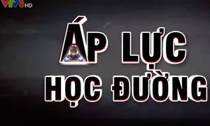 Tiêu điểm: Áp lực học đường – Nhìn từ Bệnh viện tâm thần