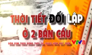 Theo dòng Thời sự: Thời tiết bất thường ở 2 bán cầu (18h45 hôm nay, 22/1, VTV8)