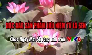 Độc đáo hàng lưu niệm từ lá sen (Chào Ngày Mới, 6h ngày 25/1, VTV8)