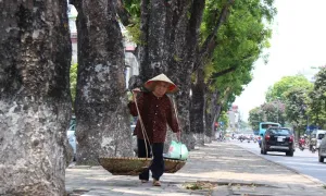 Toàn miền Trung tạnh ráo, trưa chiều có nắng