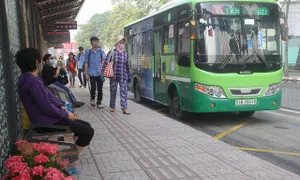 Vực dậy hoạt động xe bus: Cần chính sách phát triển hạ tầng giao thông bài bản, nghiêm túc