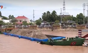 Cọc dừa, đăng đáy cá chực chờ "nuốt chửng" tàu ghe trên sông nước miền Tây