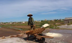 Khu vực Bắc Trung Bộ trong chuỗi ngày tăng nhiệt