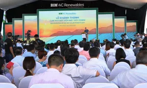 Ninh Thuận đưa vào sử dụng cụm nhà máy năng lượng mặt trời 330 MW