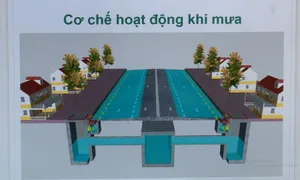 Hệ thống hố ga thu nước ngăn mùi tại TP.HCM