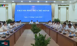 Hội nghị trực tuyến triển khai phòng chống dịch tả lợn châu Phi