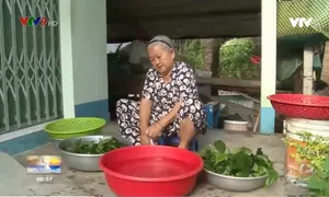 Bà Giáo Hai bò lụi