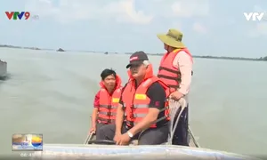 "Đội quân tóc bạc" đặc biệt của xứ dừa